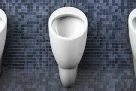 Gent_Urinal2[1]-4353982-37016.webp